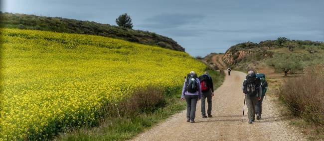 Pilgrims making their way to Roncesvalles | Gesine Cheung