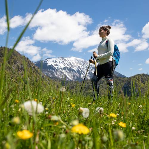 Enjoying a Slovenian hiking trail