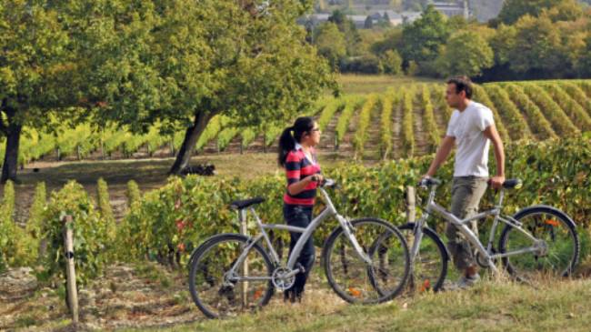 Cyclists in a Sancerre vineyard | Joel Damase