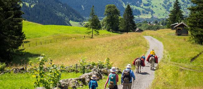 A family hiking in the Alps | Thomas Larner