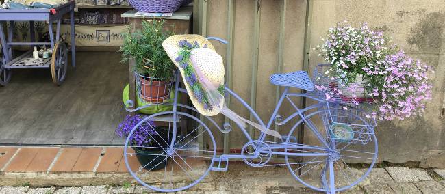Cycle through pretty villages and shop for lavender in Provence | Kylie Martin