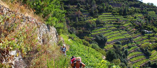 Hikers ascending to Volastra in the Cinque Terre | Phil Wyndham