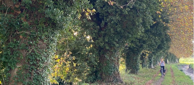 Cycling the back roads of Provence | Deborah Brinkhoff & Lara Hilton