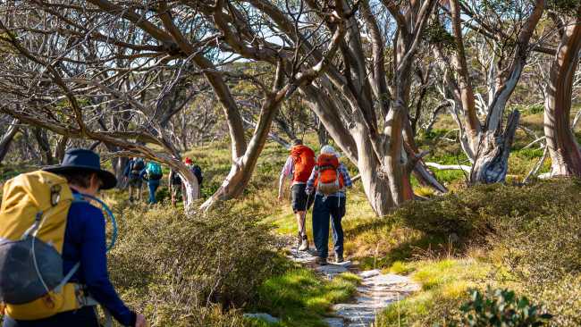 Hiking in the Kosciuszko National Park on the Snowies Alpine Walk | Lachlan Gardiner