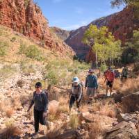 Trekking the Larapinta Trail | Luke Tscharke