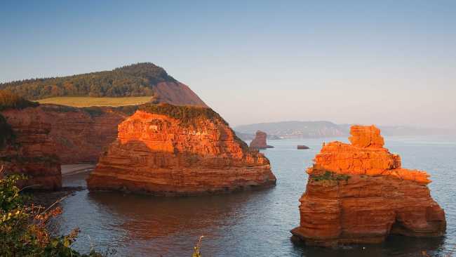 Sea Stacks at Ladram Bay, South West Coast Path | Milan Gondra