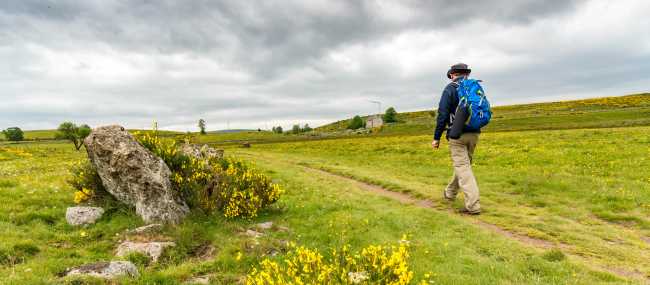 Walking the inspiring Camino trail