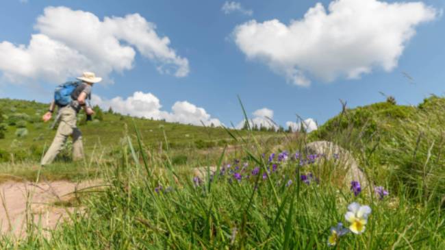 Hiking the Vosges mountain trails in France