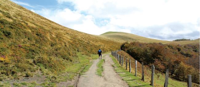 Walking the stunning Camino Trail towards Roncesvalles | Scott Kirchner