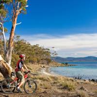 Cycling on Maria Island | Andrew Bain